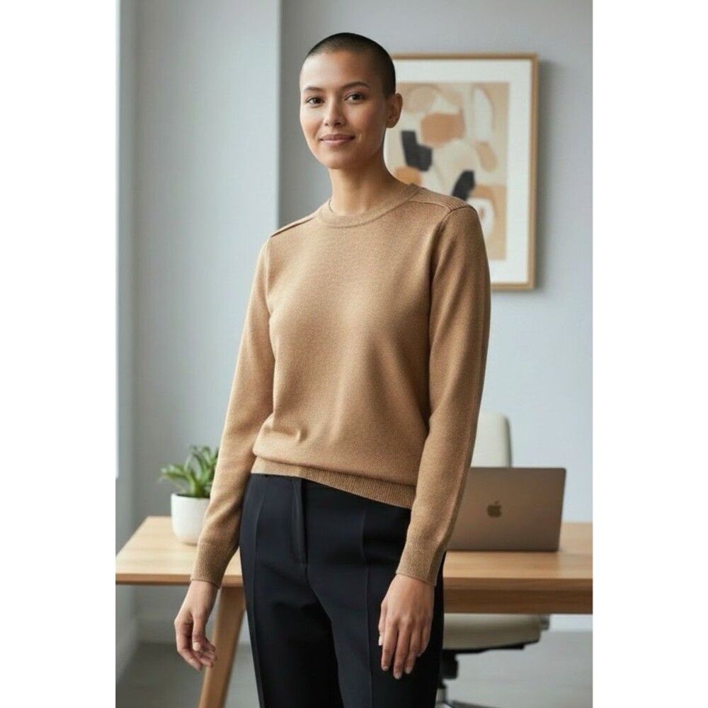 Talbots NEW womens fawn 100% Merino wool crewneck sweater XLp fall quiet luxury